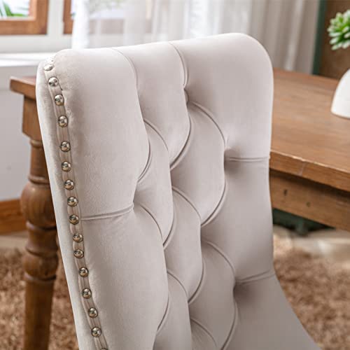 Rhomtree Set of 6 Velvet Fabric Dining Chairs Luxury Tufted Back with Nailed Trim and Back Ring Pull Home Kitchen Dining Room Chairs Armless Side Chairs Solid Rubber Wood Legs (Beige)