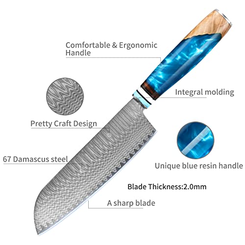 Santoku Knife, German Steel Pro Sharp Cooking Chef's Knife in Gift Box丨Razor Sharp, Stain and Corrosion Resistant, Best Choice for Home Kitchen Restaurant