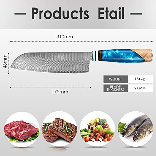 Santoku Knife, German Steel Pro Sharp Cooking Chef's Knife in Gift Box丨Razor Sharp, Stain and Corrosion Resistant, Best Choice for Home Kitchen Restaurant