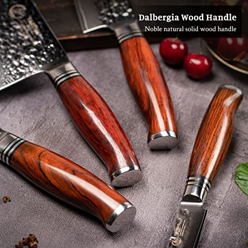 YARENH Damascus Kitchen Knife Set with Cleaver 4 Pcs, 73 Layers Japanese High Carbon Stainless Steel, Full Tang Natural Sandalwood Handle, Professional Chef Knife