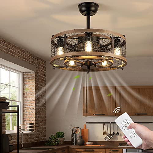 Madshne Caged Ceiling Fan With Lights