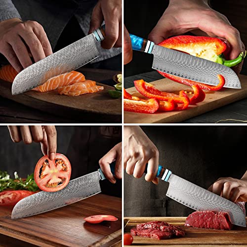 Santoku Knife, German Steel Pro Sharp Cooking Chef's Knife in Gift Box丨Razor Sharp, Stain and Corrosion Resistant, Best Choice for Home Kitchen Restaurant