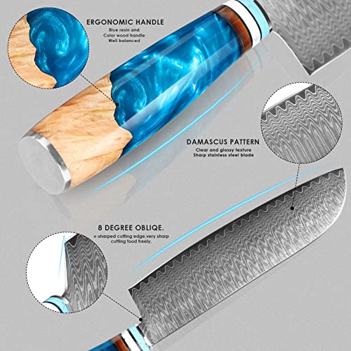Santoku Knife, German Steel Pro Sharp Cooking Chef's Knife in Gift Box丨Razor Sharp, Stain and Corrosion Resistant, Best Choice for Home Kitchen Restaurant